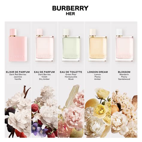 perfume with notes similar to burberry body|Burberry her smell like.